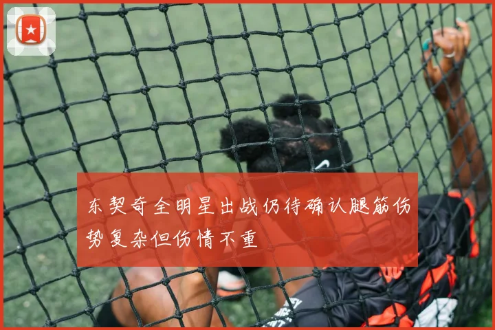 东契奇全明星出战仍待确认腿筋伤势复杂但伤情不重